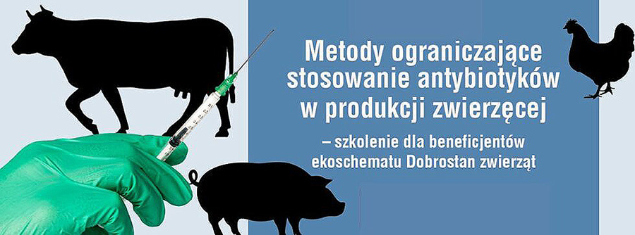 Szkolenie dla rolników "Metody ograniczające stosowanie antybiotyków w produkcji zwierzęcej"